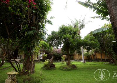 Lush tropical garden with trees and pink flowers in the grounds of a Balinese villa