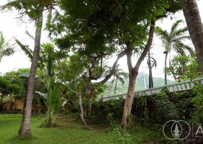 Tropical garden with trees in the grounds of a Balinese villa in Amed.