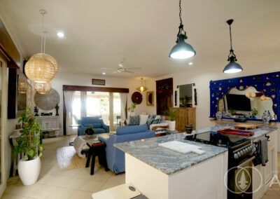 Kitchen island with cooker and open-plan living space